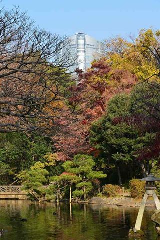 有栖川記念公園から見る六本木ヒルズ_G.jpg