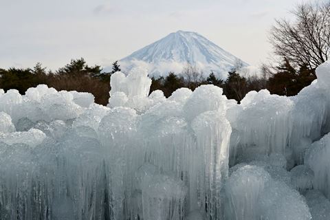 野鳥の森公園・氷のオブジェと富士山_G.jpg